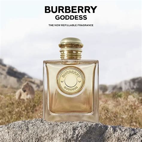 aqua florya burberry|burberry goddess perfume for women.